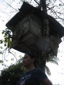 talaandigs in bukidnon